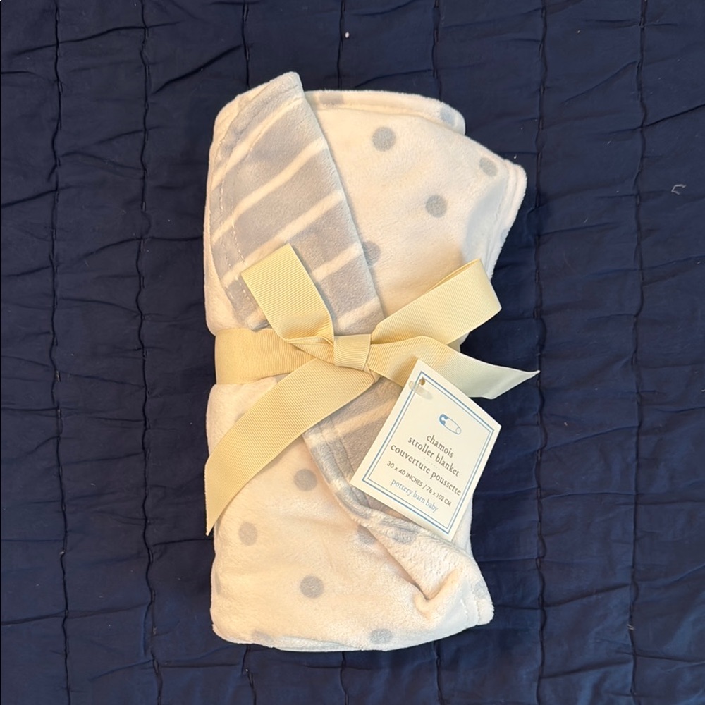 Pottery Barn Kids Baby Chamois Stroller Blanket